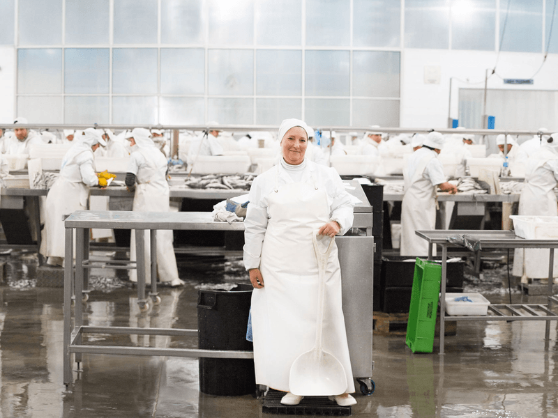 Industria Alimenticia